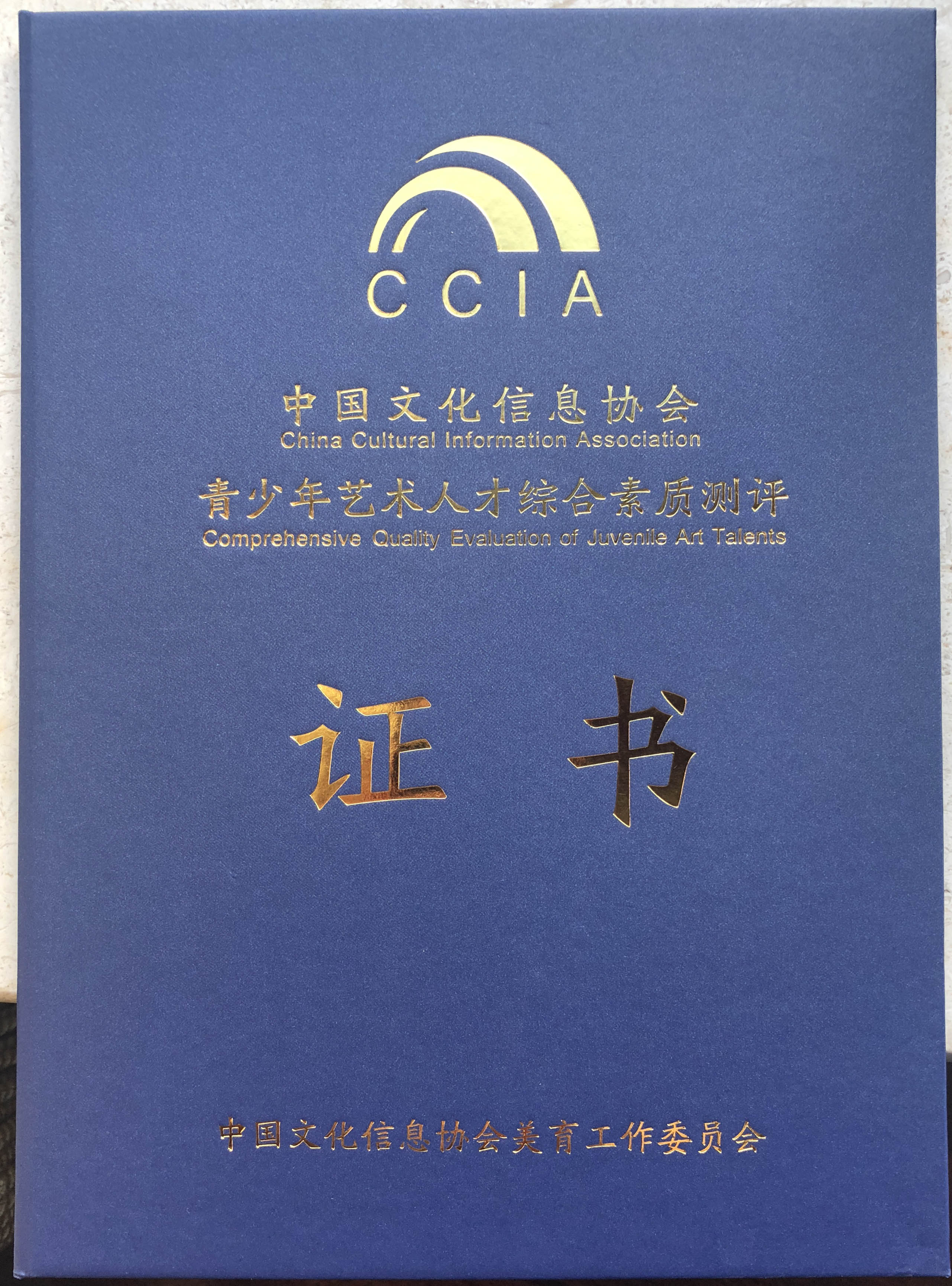 网证书封面.jpg